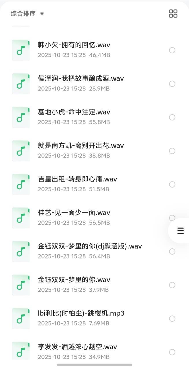花了399买来的，2025年10月份全网热门流行歌曲无损合集