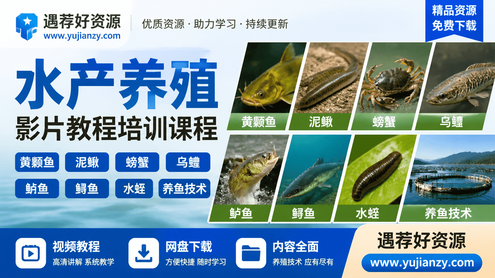 水产养殖影片教程 黄颡泥鳅螃蟹乌鳢鲈鱼鲟鱼水蛭养鱼技术培训课程