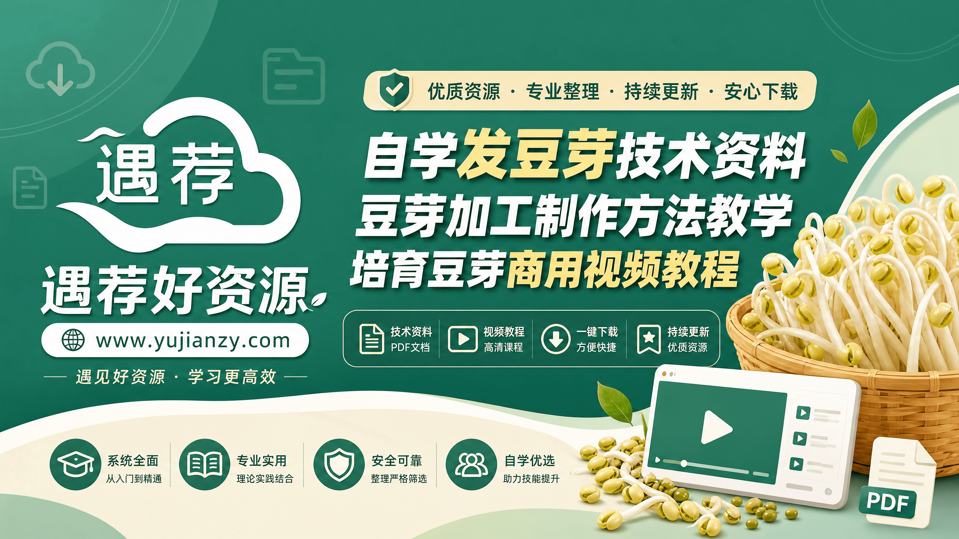 自学发豆芽技术资料 豆芽加工制作方法教学 培育豆芽商用视频教程